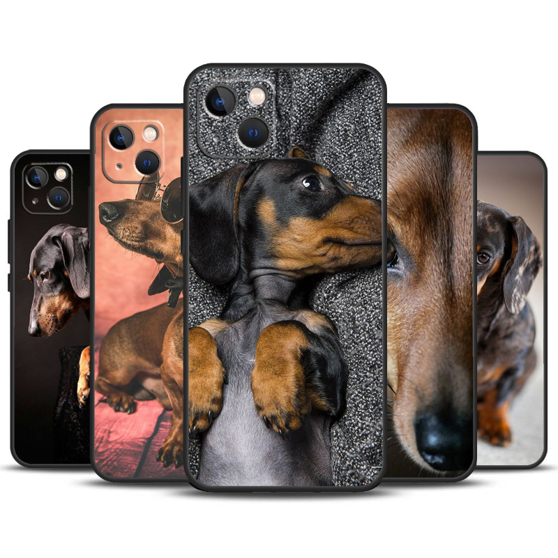 Carino Bassotto Teckel Dackel  - Tech Accessories Iphone recensione e prezzo