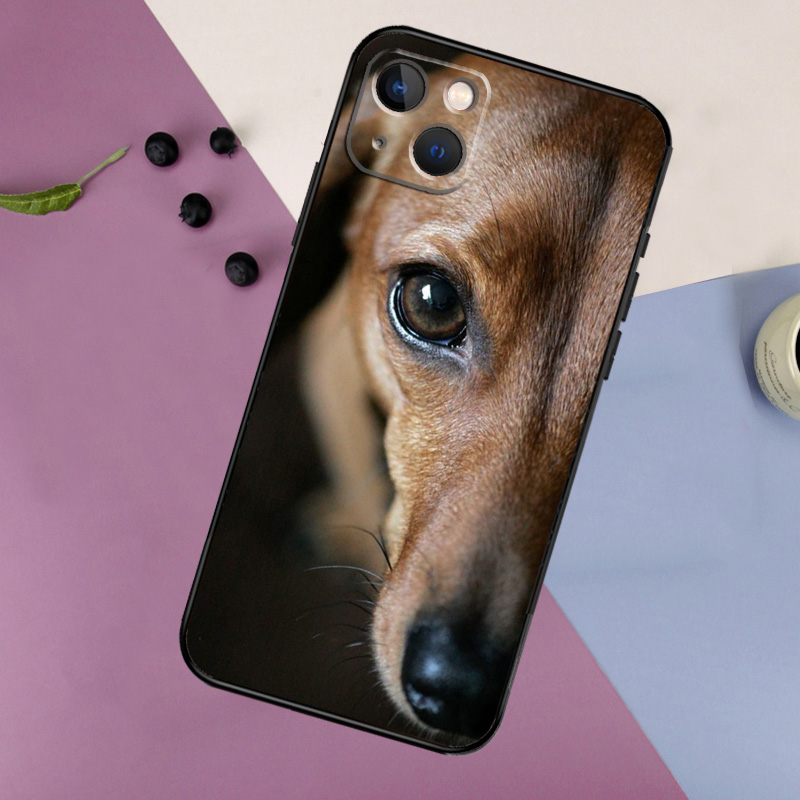 Carino Bassotto Teckel Dackel  - Tech Accessories Iphone recensione e prezzo